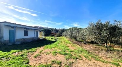 Land of 7,615 m² in El Masroig (43736)