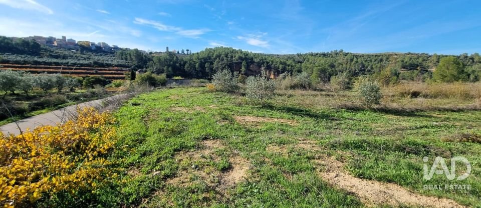 Land of 7,615 m² in El Masroig (43736)