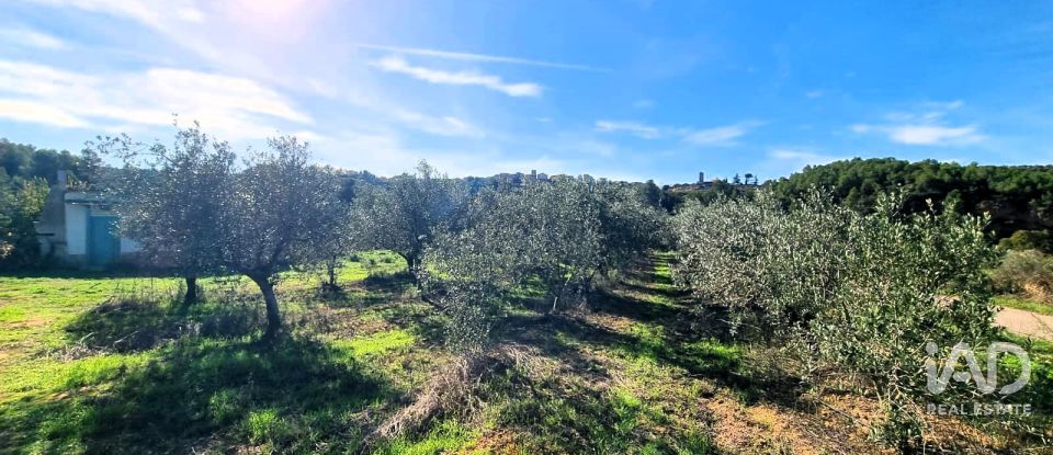 Land of 7,615 m² in El Masroig (43736)