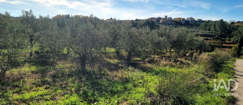 Land of 7,615 m² in El Masroig (43736)
