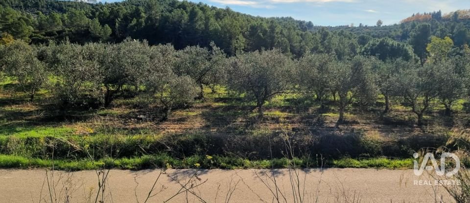 Land of 7,615 m² in El Masroig (43736)