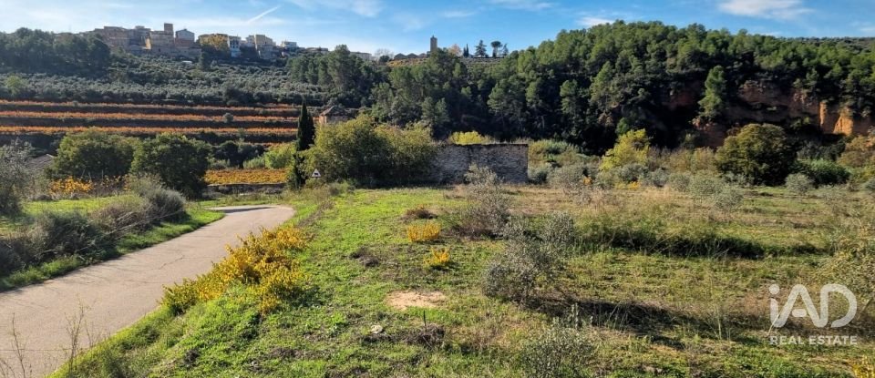 Land of 7,615 m² in El Masroig (43736)