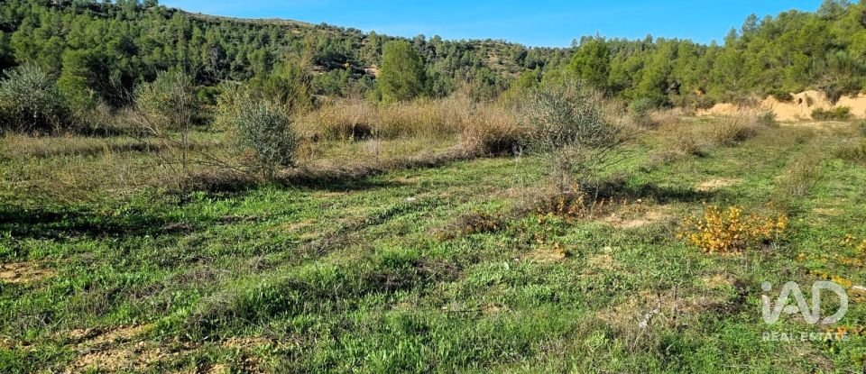 Land of 7,615 m² in El Masroig (43736)