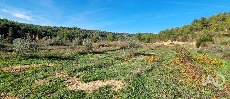 Land of 7,615 m² in El Masroig (43736)