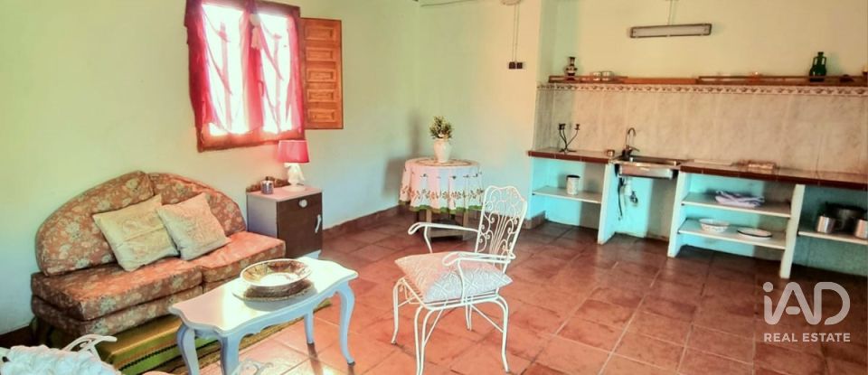 Land of 7,615 m² in El Masroig (43736)