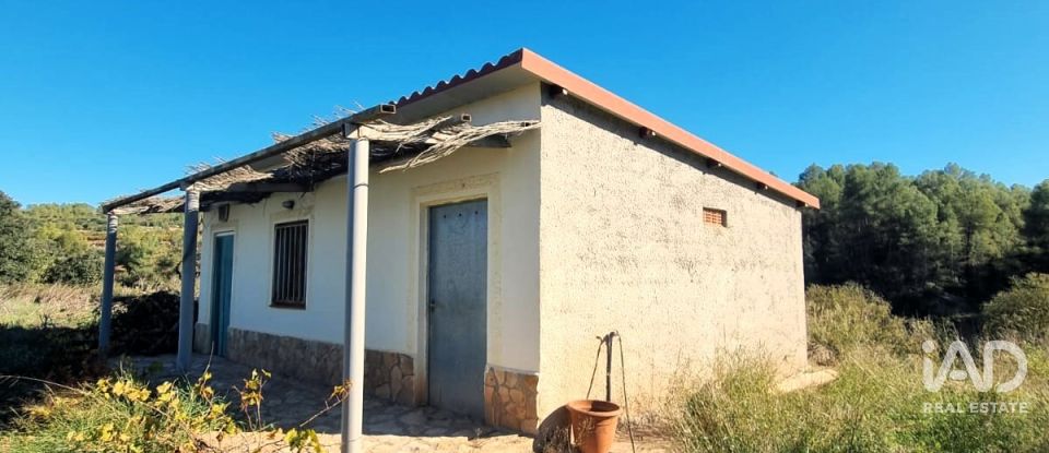 Land of 7,615 m² in El Masroig (43736)