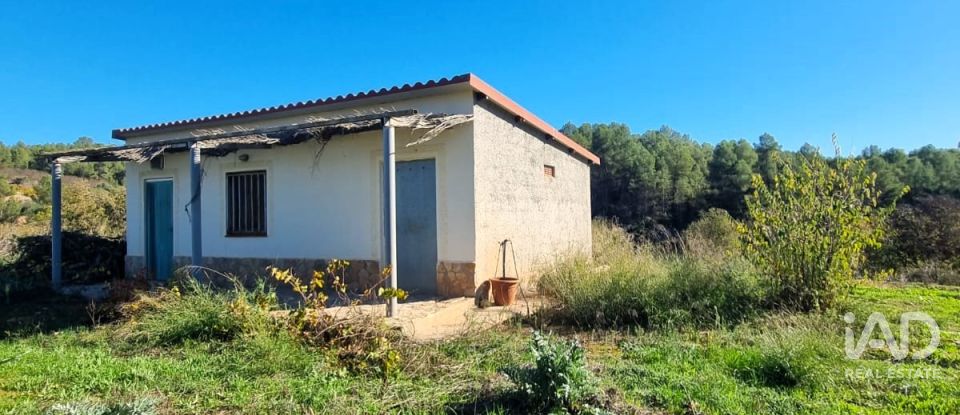 Land of 7,615 m² in El Masroig (43736)