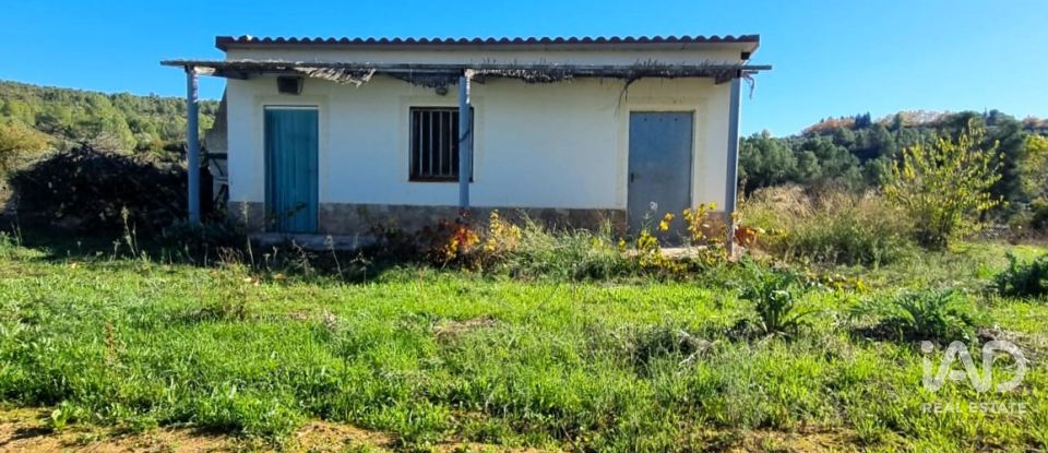 Land of 7,615 m² in El Masroig (43736)