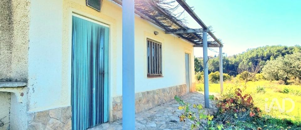 Land of 7,615 m² in El Masroig (43736)