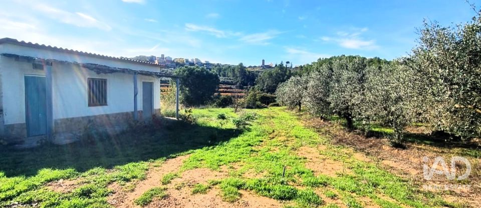 Land of 7,615 m² in El Masroig (43736)