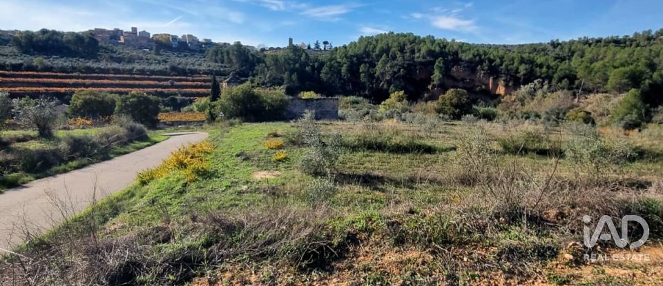 Land of 7,615 m² in El Masroig (43736)