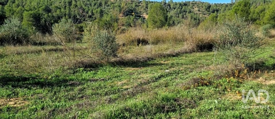 Land of 7,615 m² in El Masroig (43736)