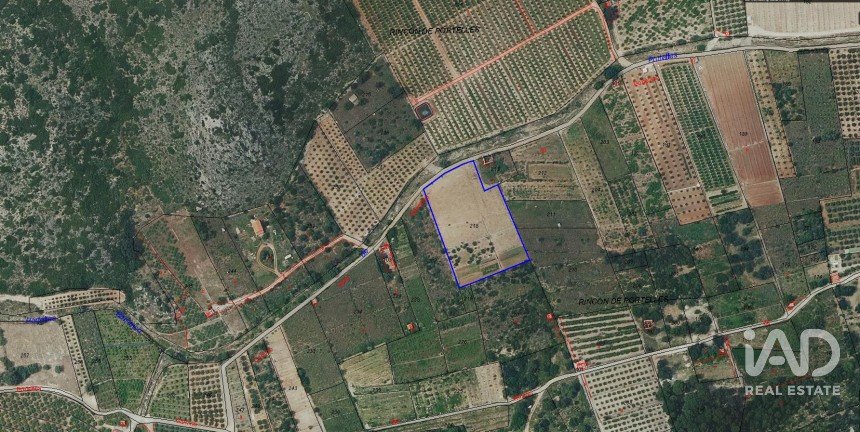 Land of 7,695 m² in El Verger (03770)