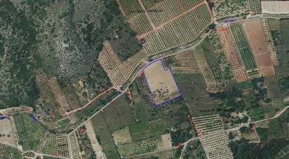 Land of 7,695 m² in El Verger (03770)