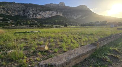 Land of 7,695 m² in El Verger (03770)