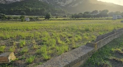 Land of 7,695 m² in El Verger (03770)