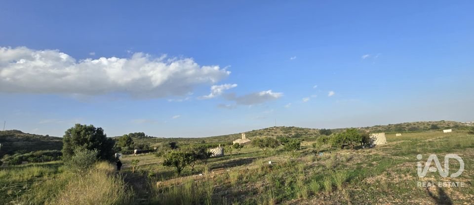 Land of 7,695 m² in El Verger (03770)