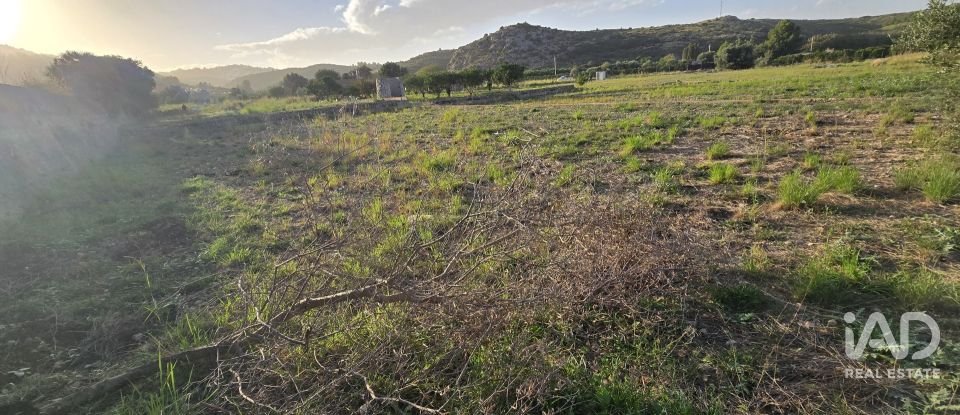 Land of 7,695 m² in El Verger (03770)