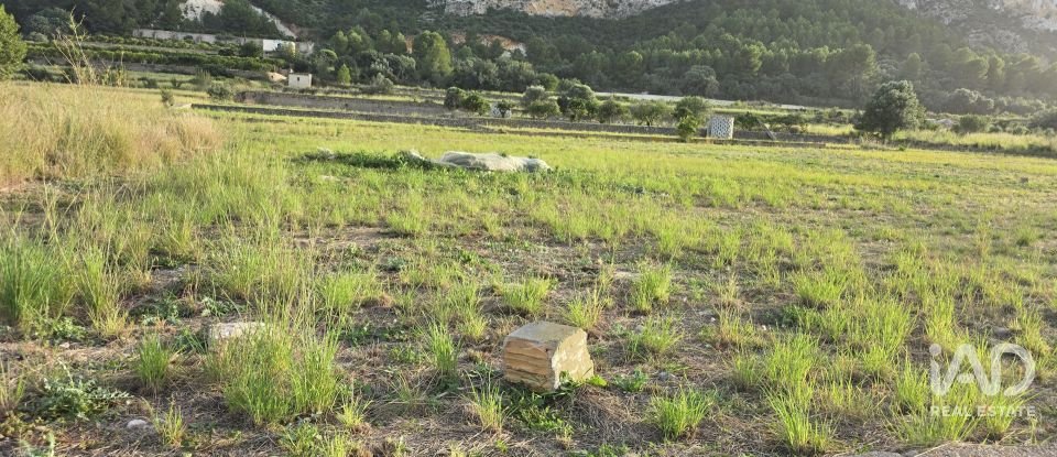 Land of 7,695 m² in El Verger (03770)