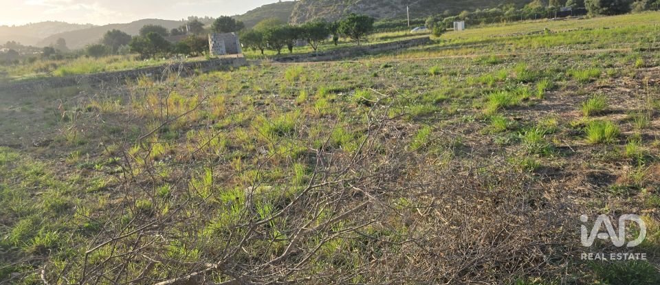 Land of 7,695 m² in El Verger (03770)