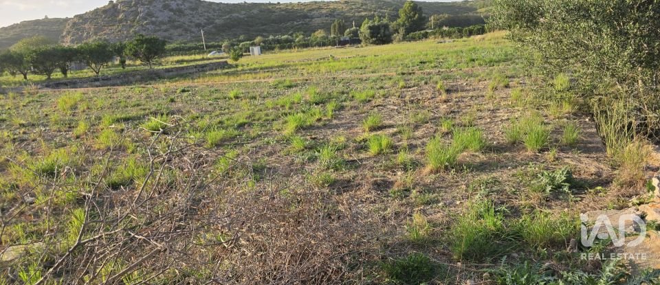 Land of 7,695 m² in El Verger (03770)