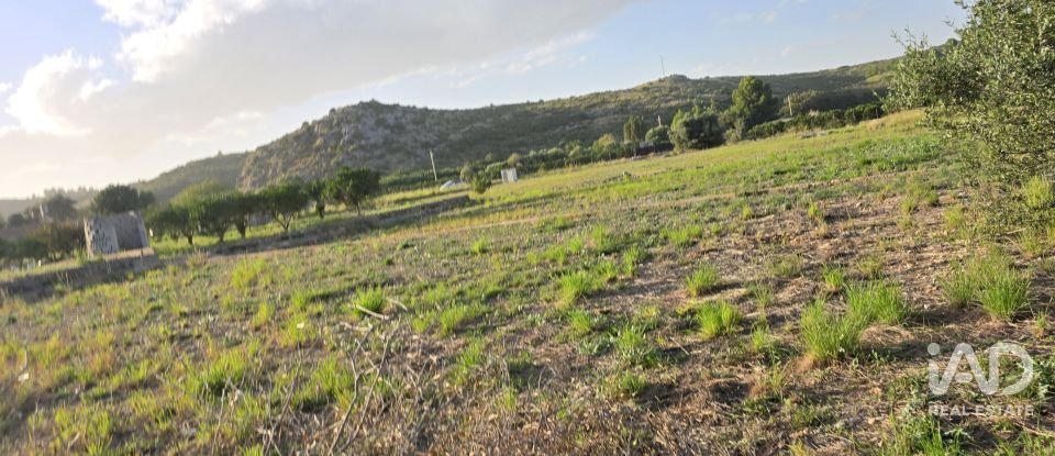 Land of 7,695 m² in El Verger (03770)