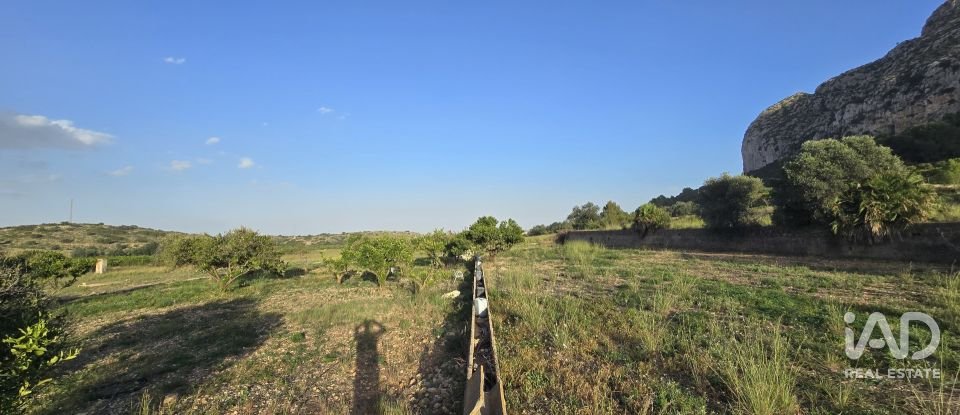 Land of 7,695 m² in El Verger (03770)