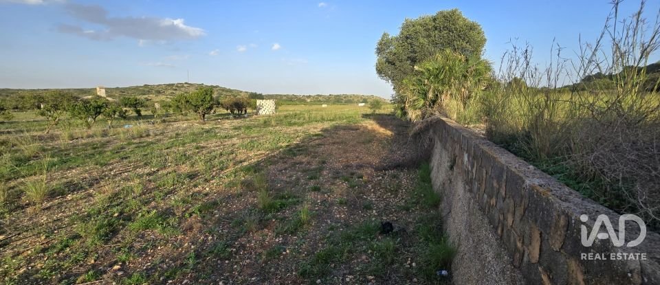 Land of 7,695 m² in El Verger (03770)