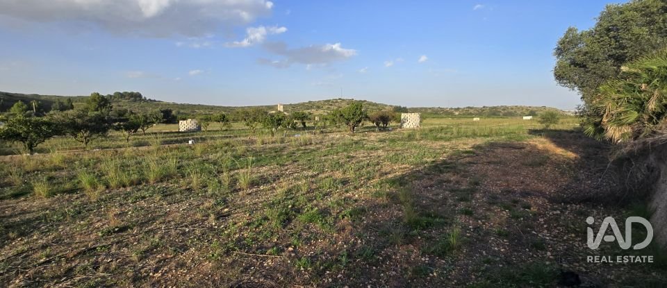 Land of 7,695 m² in El Verger (03770)