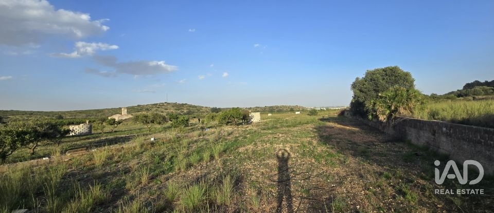 Land of 7,695 m² in El Verger (03770)