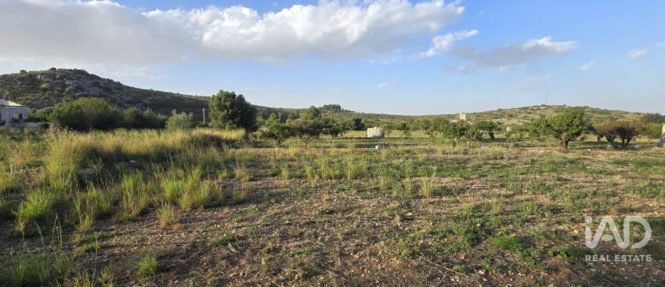 Land of 7,695 m² in El Verger (03770)