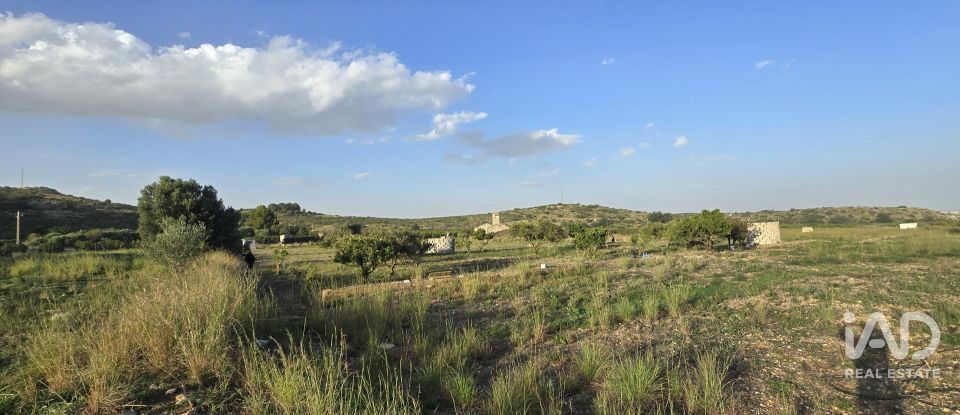 Land of 7,695 m² in El Verger (03770)