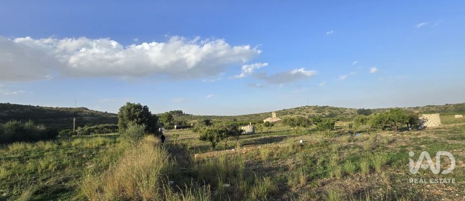 Land of 7,695 m² in El Verger (03770)