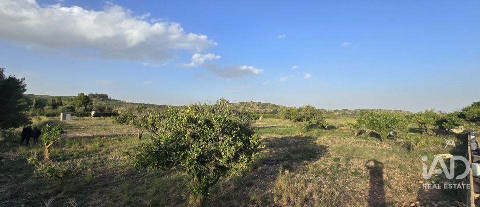 Land of 7,695 m² in El Verger (03770)