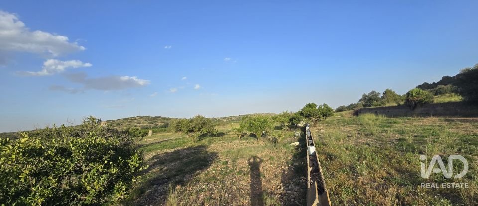 Land of 7,695 m² in El Verger (03770)