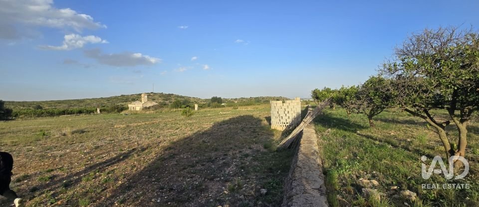 Land of 7,695 m² in El Verger (03770)