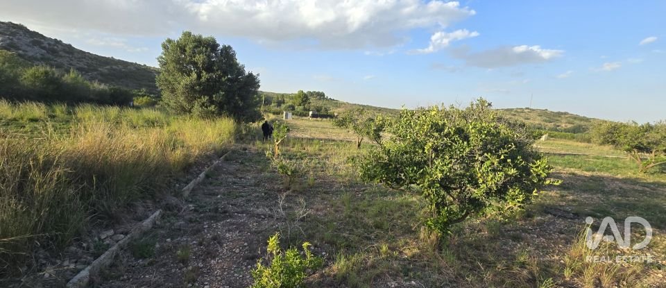 Land of 7,695 m² in El Verger (03770)