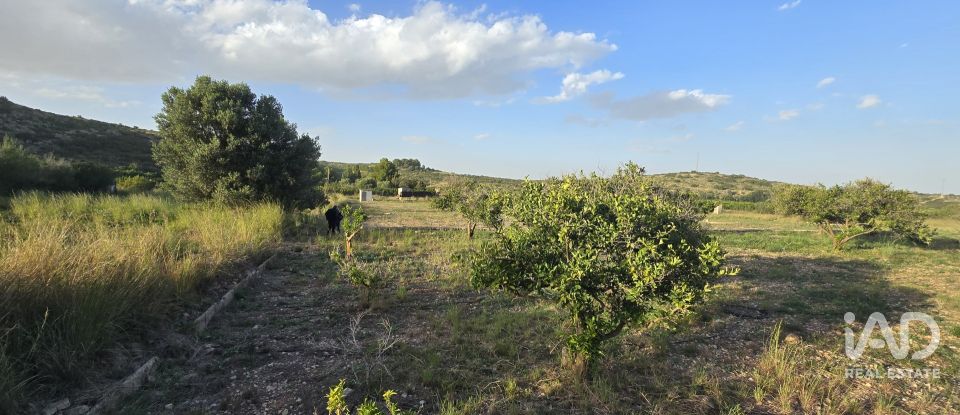 Land of 7,695 m² in El Verger (03770)
