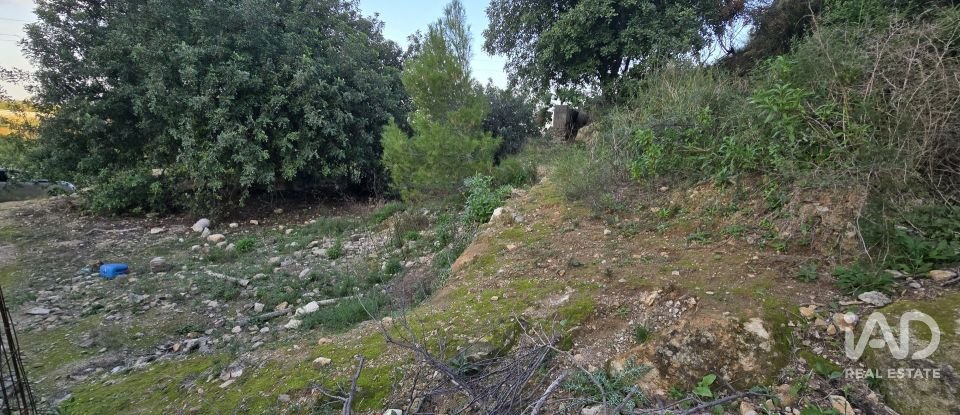 Land of 7,695 m² in El Verger (03770)