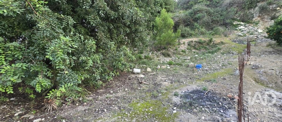 Land of 7,695 m² in El Verger (03770)