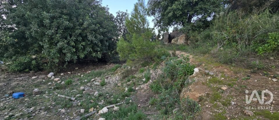 Land of 7,695 m² in El Verger (03770)