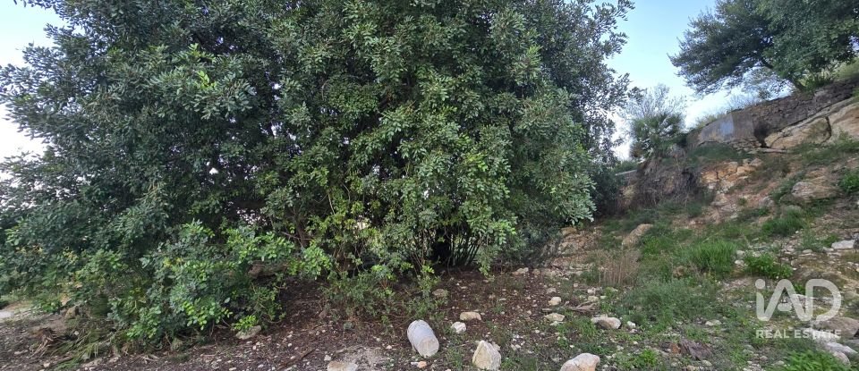 Land of 7,695 m² in El Verger (03770)