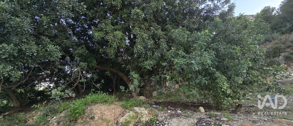 Land of 7,695 m² in El Verger (03770)