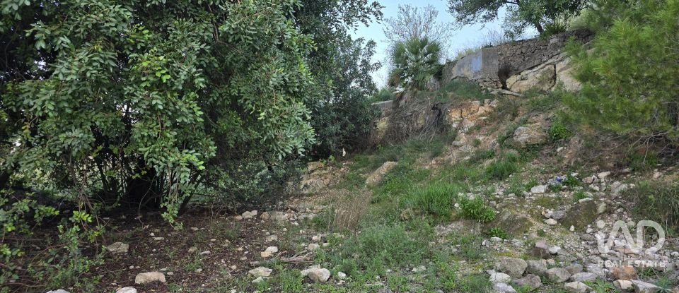 Land of 7,695 m² in El Verger (03770)