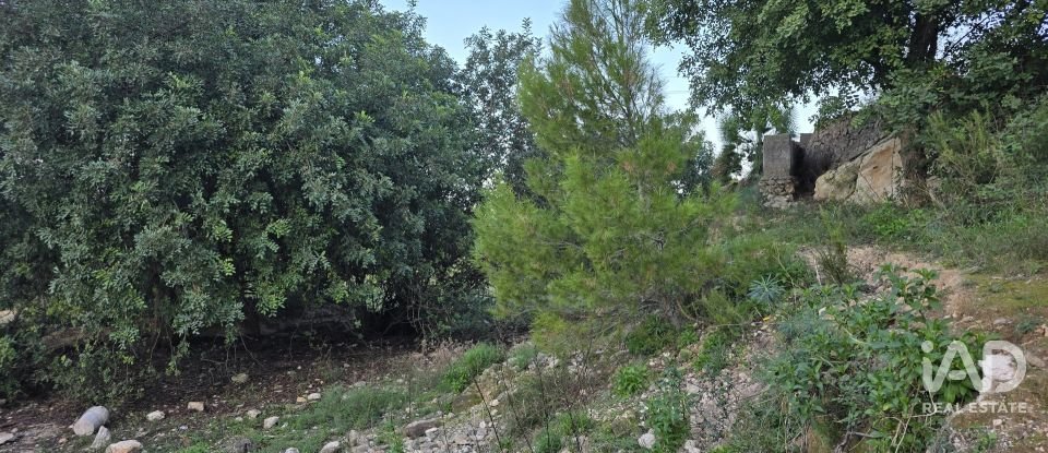 Land of 7,695 m² in El Verger (03770)