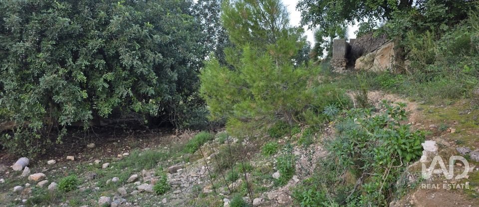 Land of 7,695 m² in El Verger (03770)