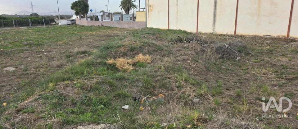 Building plot of 1,435 m² in El Verger (03770)