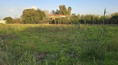 Land of 1,642 m² in Oliva (46780)
