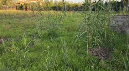 Land of 1,642 m² in Oliva (46780)