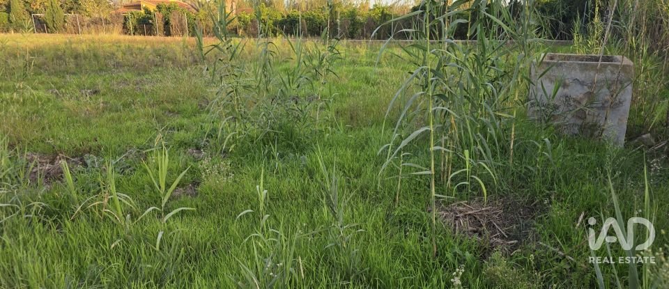 Terreno de 1.642 m² en Oliva (46780)